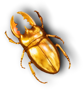 bicho-oro-2